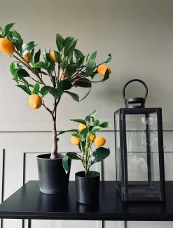 VIAMAJA Blomster<Citrustræ – Lille