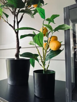 VIAMAJA Blomster<Citrustræ – Lille