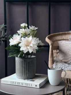 VIAMAJA Blomster<Dahlia i potte - Hvid