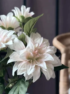 VIAMAJA Blomster<Dahlia i potte - Hvid