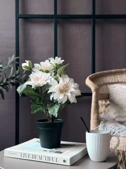 VIAMAJA Blomster<Dahlia i potte - Hvid