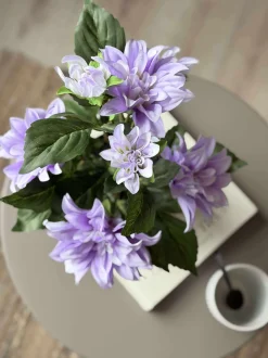 VIAMAJA Blomster<Dahlia i potte - Lilla