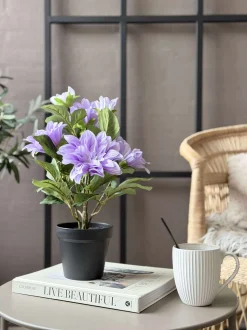 VIAMAJA Blomster<Dahlia i potte - Lilla