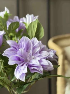 VIAMAJA Blomster<Dahlia i potte - Lilla