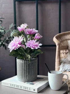 VIAMAJA Blomster<Dahlia i potte - Lyserød