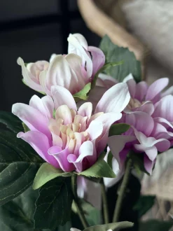 VIAMAJA Blomster<Dahlia i potte - Lyserød