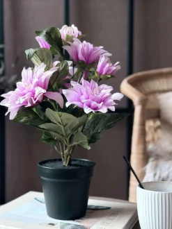 VIAMAJA Blomster<Dahlia i potte - Lyserød