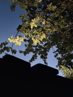 VIAMAJA Lys Og Led|Udendørs Led<Detector med solceller