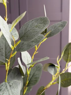 VIAMAJA Blomster<Eucalyptus gren med lys - 100cm