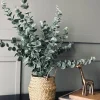 VIAMAJA Blomster<Eucalyptus med kurv