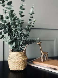 VIAMAJA Blomster<Eucalyptus med kurv