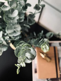 VIAMAJA Blomster<Eucalyptus med kurv