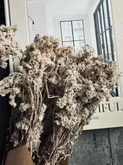 VIAMAJA Blomster<Evighedsbuket Gypsy Natur