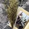 VIAMAJA Blomster|Restparti<Evighedsbuket Natur mix