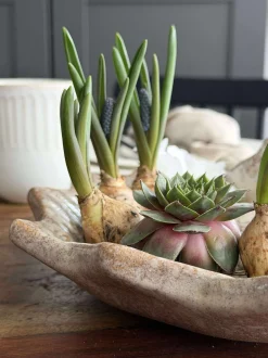 VIAMAJA Påske|Fugleliv<Fad med fugle – Beige