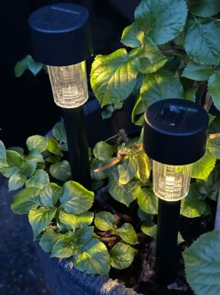 VIAMAJA Udendørs Led|Led Solceller<Fakkel Effekt Black – Sæt med 4 stk