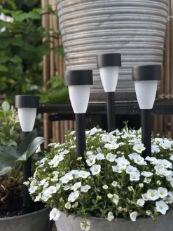 VIAMAJA Udendørs Led|Led Solceller<Fakkel med solceller – Sæt med 4 stk.