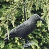VIAMAJA Sommerhus|Diverse Haveliv<Fugl i sort plast