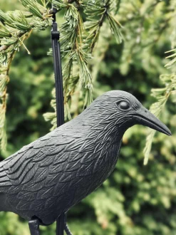 VIAMAJA Sommerhus|Diverse Haveliv<Fugl i sort plast