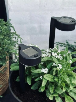 VIAMAJA Udendørs Led|Led Solceller<Havelampe Nancy med solar – Sæt med 4 stk.