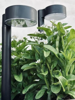 VIAMAJA Udendørs Led|Led Solceller<Havelampe Nancy med solar – Sæt med 4 stk.