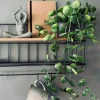 VIAMAJA Hænge Planter|Blomster<Hængeplante - Fresh green