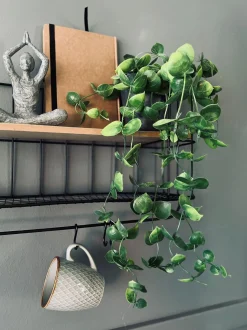VIAMAJA Hænge Planter|Blomster<Hængeplante - Fresh green