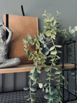 VIAMAJA Hænge Planter|Blomster<Hængeplante - Mint grøn