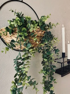 VIAMAJA Hænge Planter|Blomster<Hængeplante på stilk - No. 2