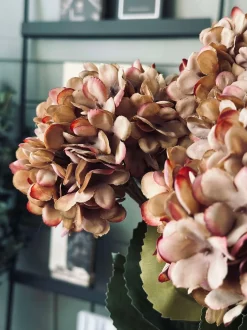 VIAMAJA Blomster<Hortensia - Brændte farver