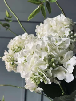 VIAMAJA Blomster<Hortensia Hvid