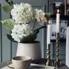 VIAMAJA Blomster|Sommerhus<Hortensia i potte - Hvid