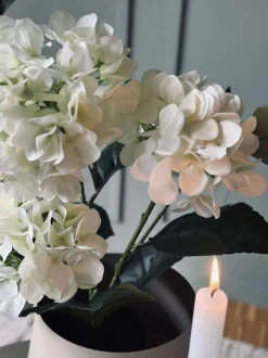 VIAMAJA Blomster|Sommerhus<Hortensia i potte - Hvid