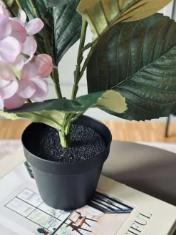 VIAMAJA Blomster|Sommerhus<Hortensia i potte - Syren