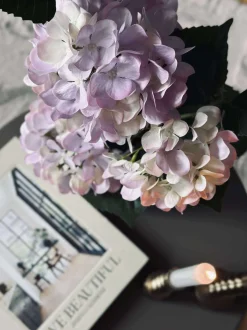 VIAMAJA Blomster|Sommerhus<Hortensia i potte - Syren