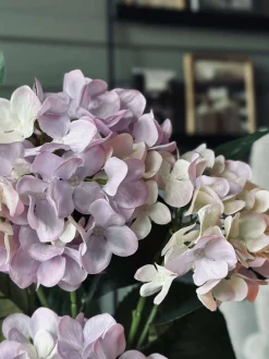 VIAMAJA Blomster|Sommerhus<Hortensia i potte - Syren