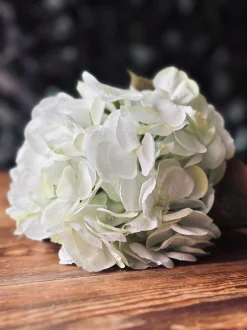 VIAMAJA Blomster<Hortensia Lime/hvid