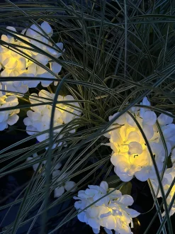 VIAMAJA Lys Og Led|Udendørs Led<Hortensia med solceller - Hvid