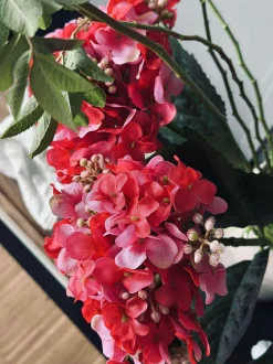 VIAMAJA Blomster|Restparti<Hortensia Pink