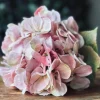 VIAMAJA Blomster<Hortensia Rosa