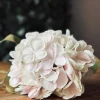 VIAMAJA Blomster<Hotensia – Sart lyserød