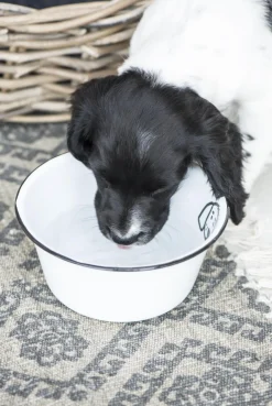 VIAMAJA Hund<Hundeskål emalje - Lille
