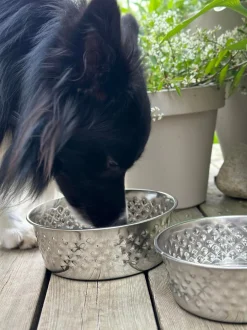 VIAMAJA Hund<Hundeskål Rustfrit stål - Large