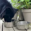 VIAMAJA Hund<Hundeskål Rustfrit stål - Small