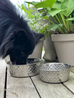 VIAMAJA Hund<Hundeskål Rustfrit stål - Small