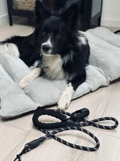 VIAMAJA Hund<Hundesnor 1,5 meter med poseholder
