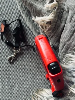 VIAMAJA Hund<Hundesnor Flexline med lommelygte - 5 meter