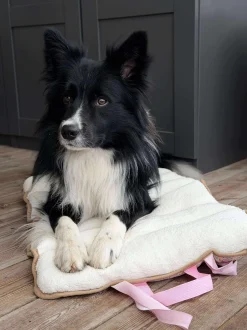 VIAMAJA Hund<Hundetæppe - Foldbart