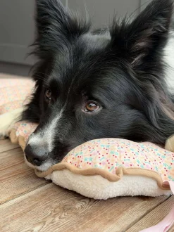 VIAMAJA Hund<Hundetæppe - Foldbart