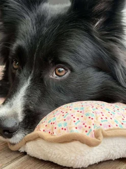 VIAMAJA Hund<Hundetæppe - Foldbart